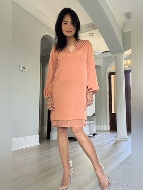 ✨Diane von Furstenberg Rust-Colored Silk Tunic With Caged V-Neck Panel✨